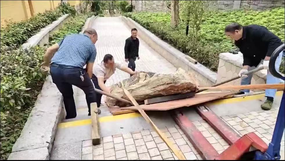滑行下台阶